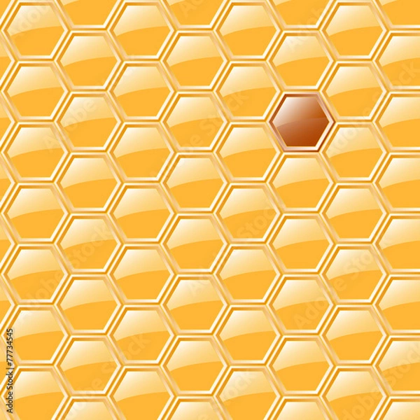 Fototapeta Sweet honeycomb