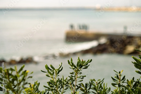 Obraz View on the sea