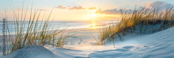 Obraz Wschód słońca nad Morzem Północnym, Morzem Bałtyckim. Krajobraz z przerzednikami i trawami.