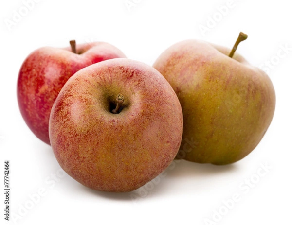 Obraz Apfel Sorte Boskoop