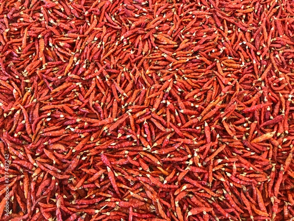 Fototapeta Thai dried chilies for cooking