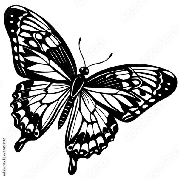 Fototapeta black and white butterfly,butterfly Silhouette Graphics Vector Illustration,head of a element black butterfly Svg t shirts Design, Laser Cut File Cricut,monarch butterfly contours on white background