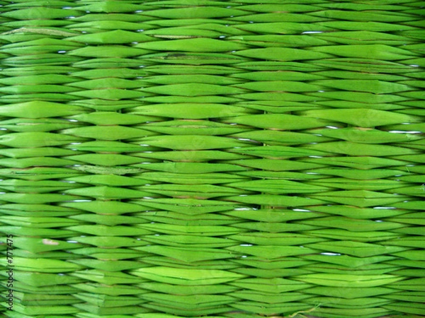 Obraz dry green grass pattern