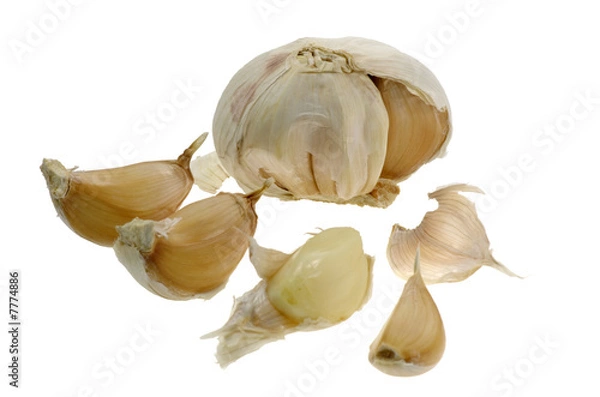 Obraz garlic