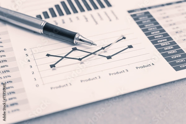 Fototapeta Showing business and financial report. Accounting