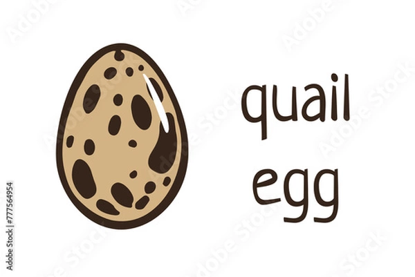 Fototapeta quail egg. Vector doodle cartoon illustration isolated on white background for easter poster, card,  farm products, menu, cookbook design, biological illustration