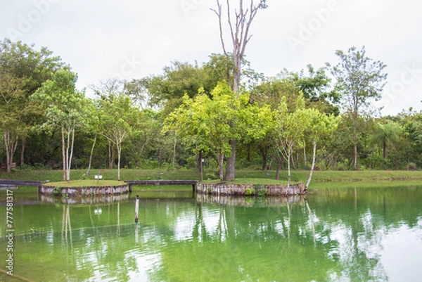 Fototapeta campo grande
