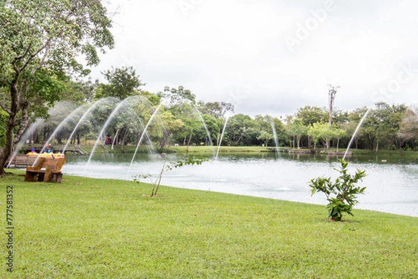 Fototapeta campo grande
