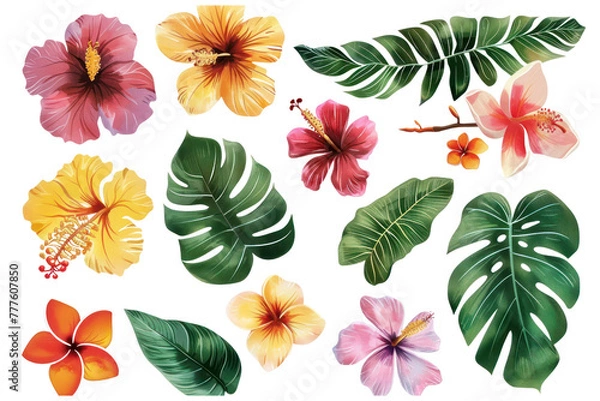 Obraz hawaiian leaves and flowers on isolated transparent background