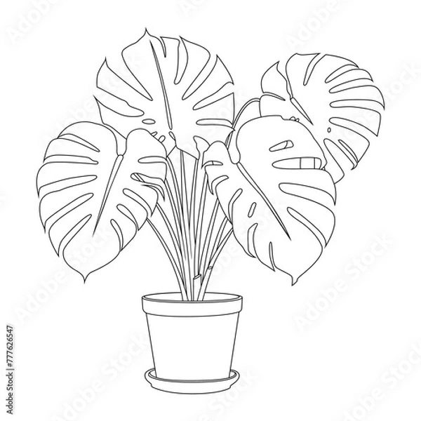 Fototapeta Indoor palm flower in a pot vector outline on a white background