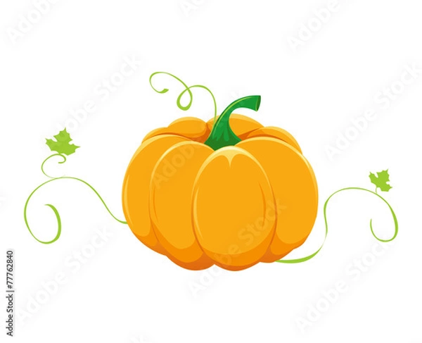 Fototapeta Pumpkin