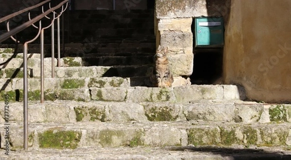 Obraz vieil escalier d'un village provençal