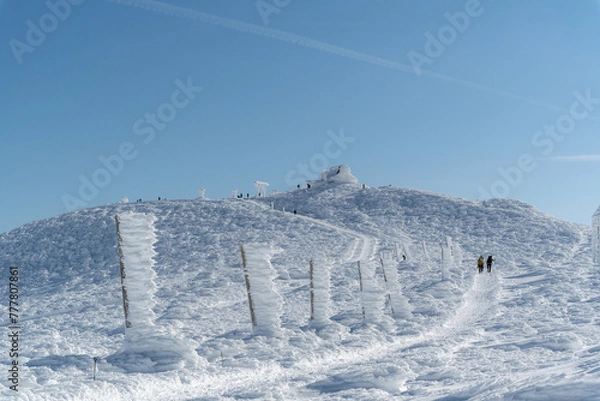 Obraz 冬の蔵王　刈田嶺神社への参道