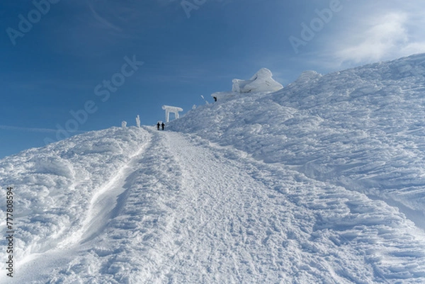 Obraz 冬の刈田岳神社へ向かう登山道