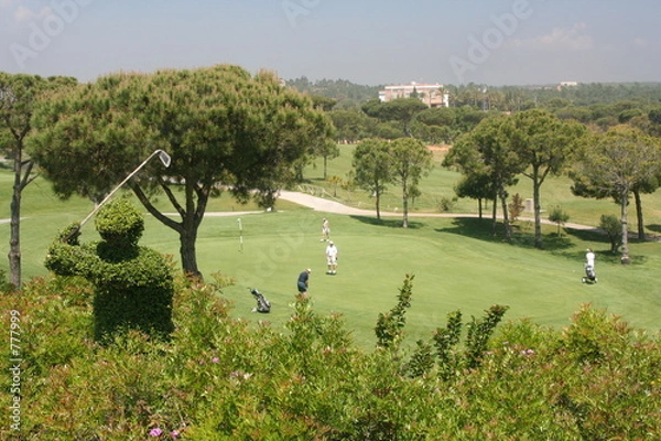 Obraz jugadores de golf