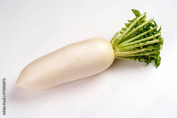 Obraz 加賀野菜の一つ・源助大根