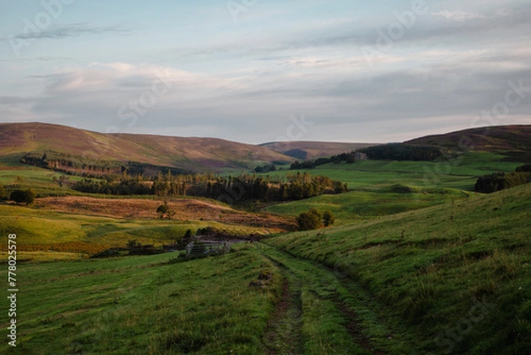 Obraz Scotland, Balintore, nearby Kirriemuir.