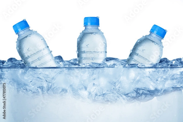 Obraz Water Bottle in Ice Cubes