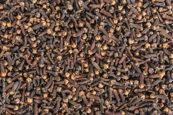 Fototapeta Zwiezyki przypraw