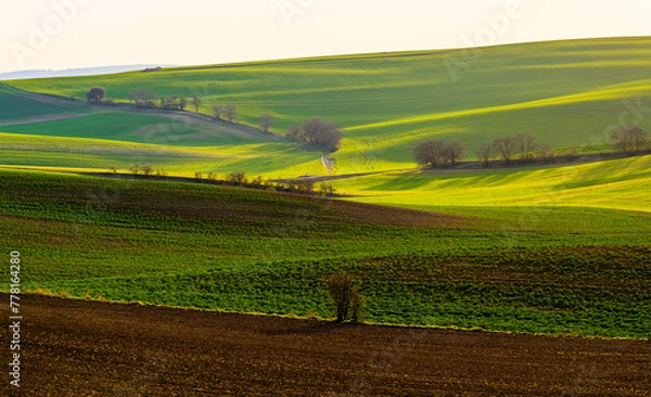 Obraz Moravia, spring, field, landscape, biobelts, ribbon,