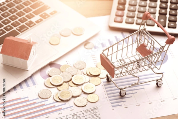 Fototapeta Coins, shopping carts, small houses, laptops, and calculators placed on data sheets