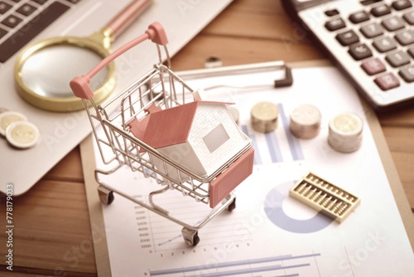 Obraz Laptops, coins, abacus, and small houses placed in shopping carts on data drawings