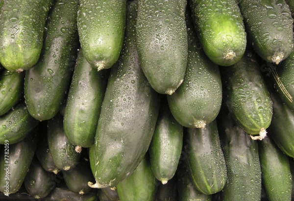 Obraz Stack of Wet Cucumbers