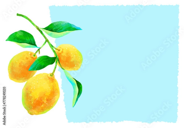 Obraz 枝付きの瑞々しいレモンのイラスト
