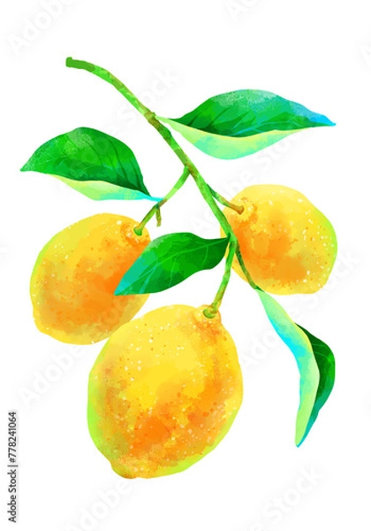 Obraz 枝付きの瑞々しいレモンのイラスト