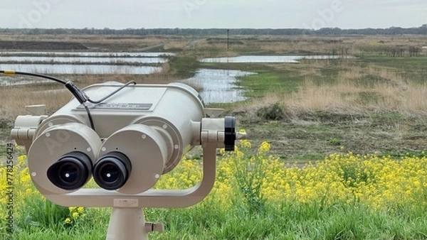 Obraz 日本・渡良瀬遊水地の双眼鏡