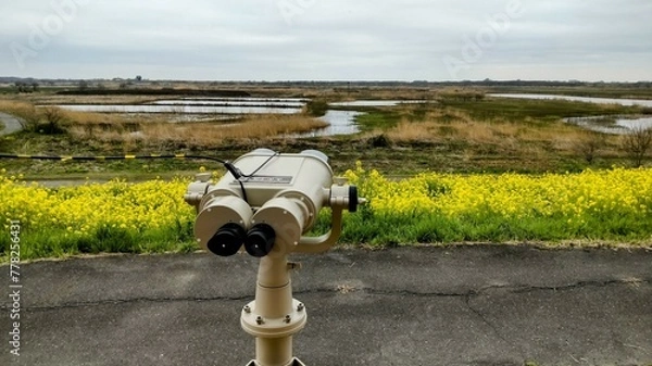 Obraz 日本・渡良瀬遊水地の双眼鏡