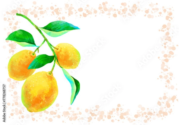 Obraz 枝付きの瑞々しいレモンのイラストフレーム