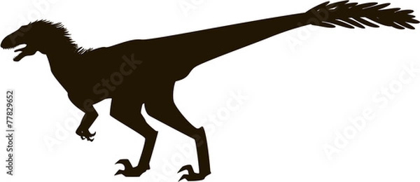 Obraz Velociraptor with feathers silhouette
