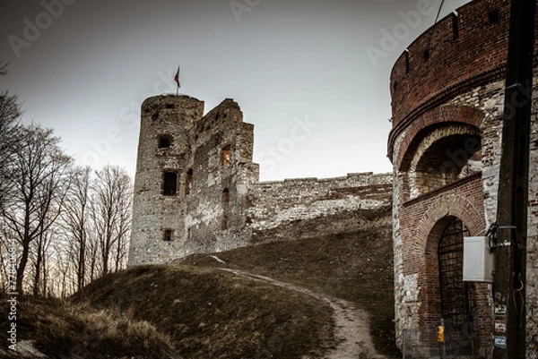 Fototapeta Zamek Grodno