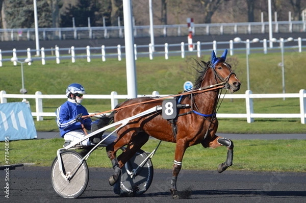 Obraz cheval de course