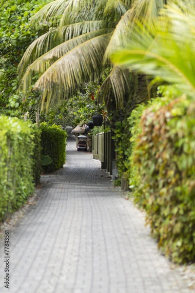 Fototapeta Green Hotel Way, Seychelles
