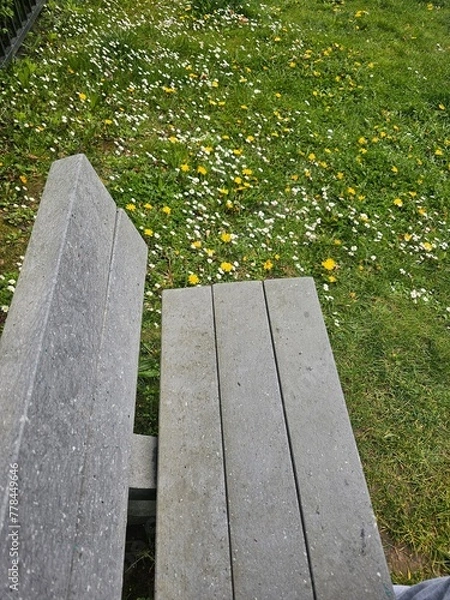 Obraz bench in the park