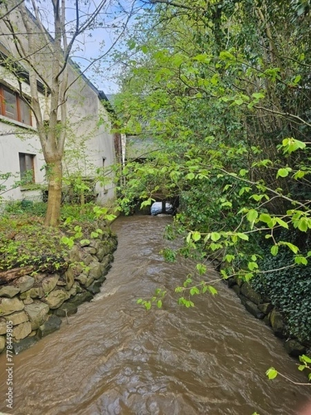 Obraz old stone bridge in the park