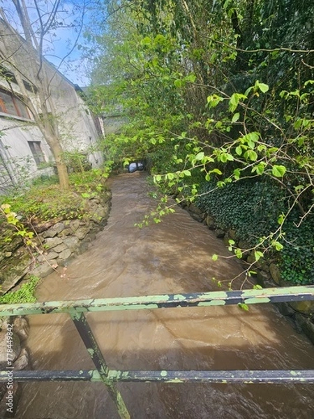 Obraz bridge in the park