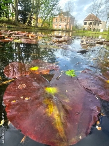 Obraz autumn in the city