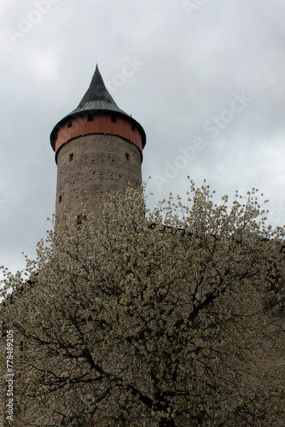 Fototapeta old castle tower