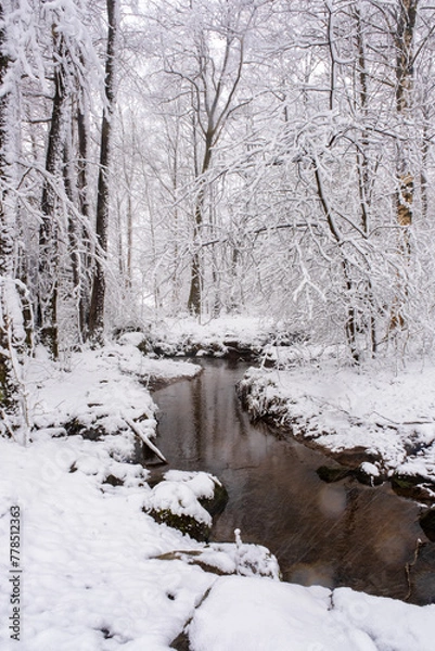 Fototapeta Stream of water flowing through forest with snow covered trees, gothenburg sweden