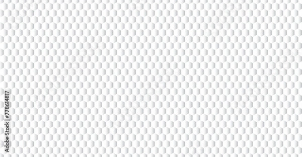 Obraz Gray hexagonal grid abstract background and gradient background. gray and white or monochromatic pattern