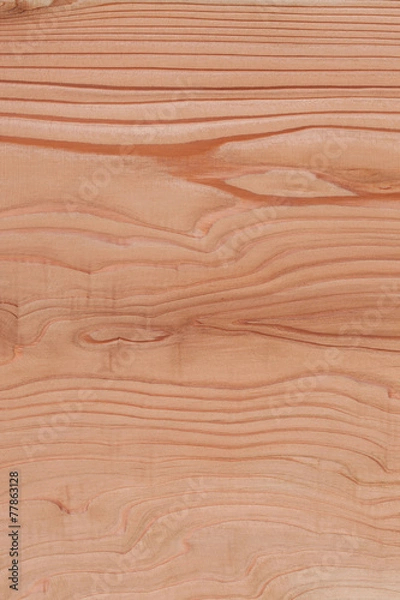 Fototapeta 杉板の木目