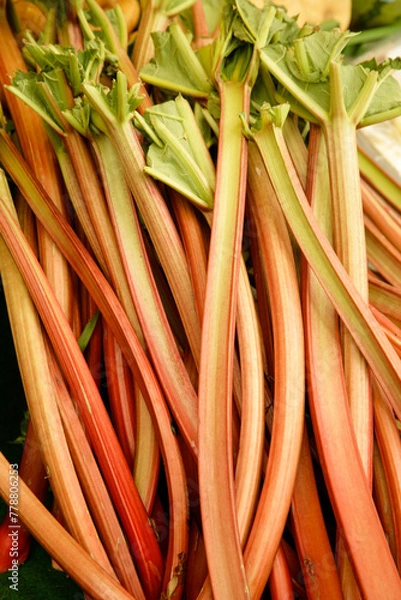 Obraz Rhubarb on a market stand