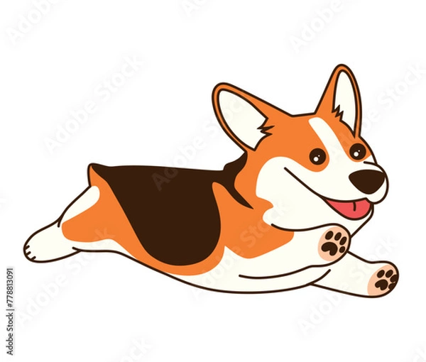Obraz Cute Corgi running isolated on white background