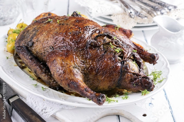 Fototapeta Stuffed Christmas Duck