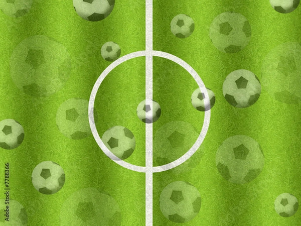 Fototapeta campo da calcio