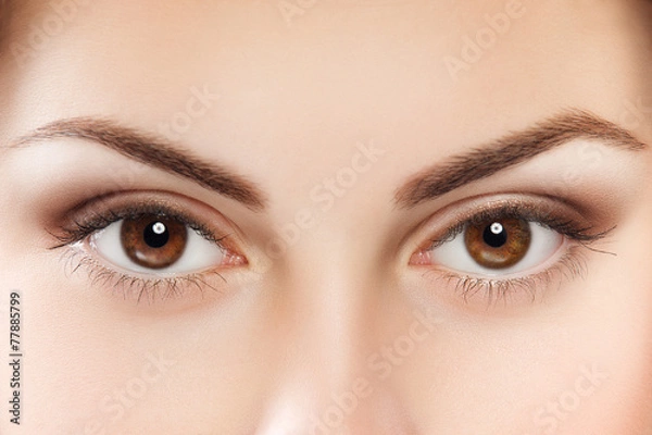 Obraz Brown eyes