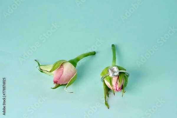 Fototapeta close-up of an engagement silver ring with a gemstone worn on a pink rose bud leaning next to other pink rose bud on an azure background